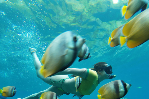 Nusa Penida: 3-Spot Snorkeling at SD, Gamat & Wall Nusa Penida hotel pickup