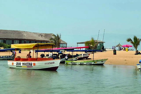 From Dakar: Bandia 4x4 safari and lions, lunch and canoe in Somone From Dakar: Bandia 4WD safari and lions, lunch, and canoe in Somone
