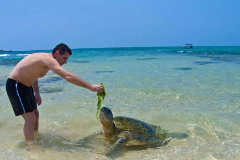 From Colombo: All Inclusive Galle Day Trip with Turtle Beach