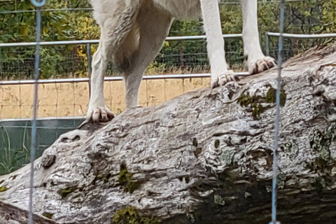 Anchorage: Portage Glacier en Wildlife Explorer Cruise
