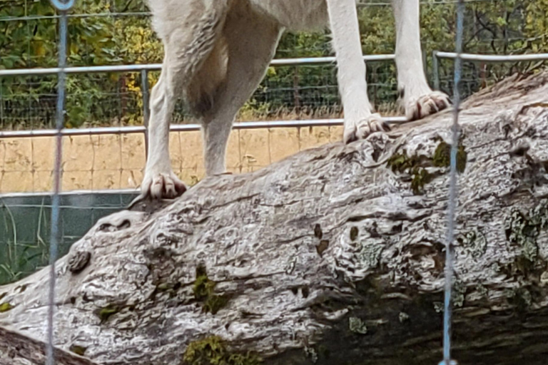 Anchorage: Portage Glacier en Wildlife Explorer Cruise