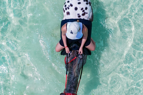 Zanzibar : baignade avec un cheval et kayak en eau claire