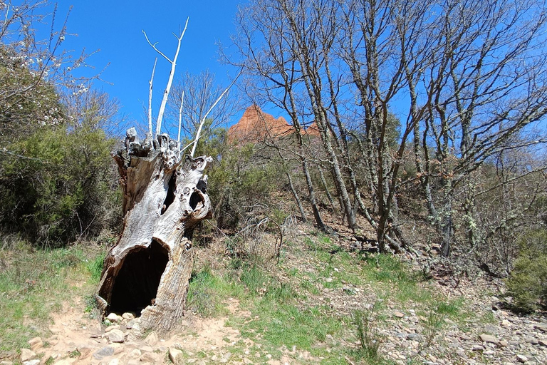 Las Médulas: Guided Tour of Roman Gold Mine