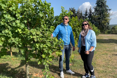 From Potsdam: E-bike tour into the vineyards Potsdam: Wine tour with the e-bike into the vineyards