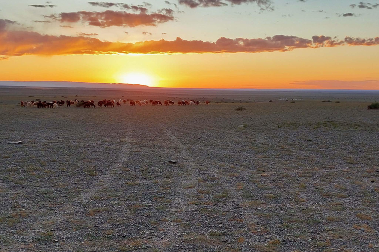Ulaanbaatar: 7-Day Gobi Desert & Terelj Park Tour