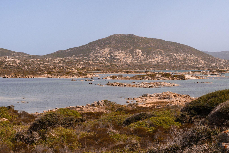 من ستينتينو جولة شاحنة أسينارا الصغيرة