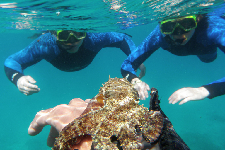 Fuerteventura: 1 hour private mini-cruise on Lobos Island