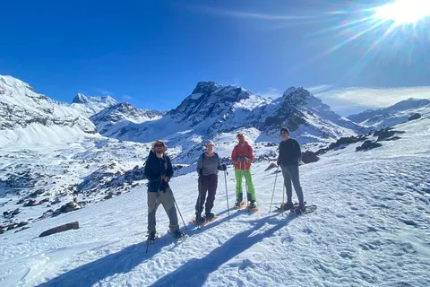 From Santiago: Snowshoeing Hike at the Andes
