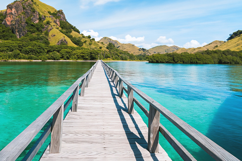 Komodo Speedboat Long Day Trip: 8 Highlights in One Day