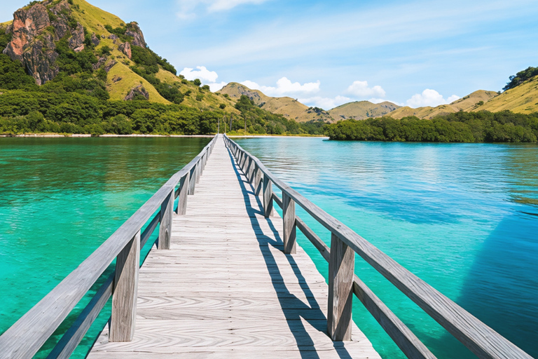 Komodo Speedboat Long Day Trip: 8 Highlights in One Day