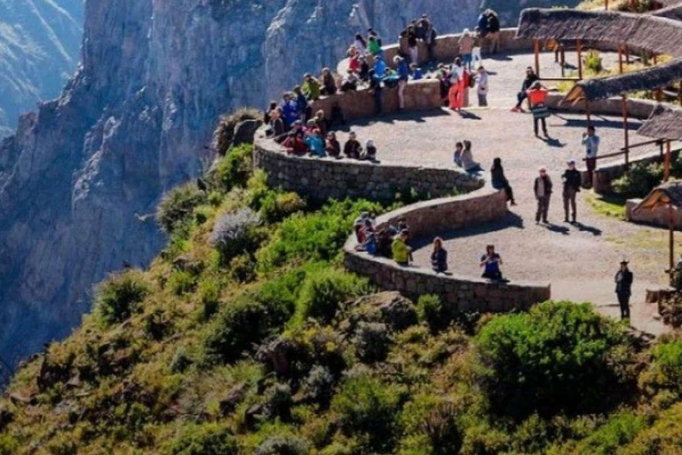Arequipa: Colca Canyon 1-Tages-Tour mit Guide | Kondorflug |