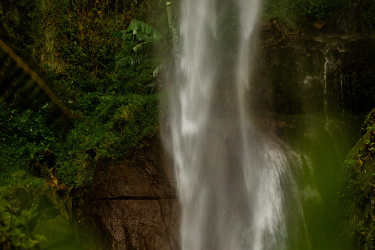 Escursione naturalistica ad Arusha alle cascate di Napuru.