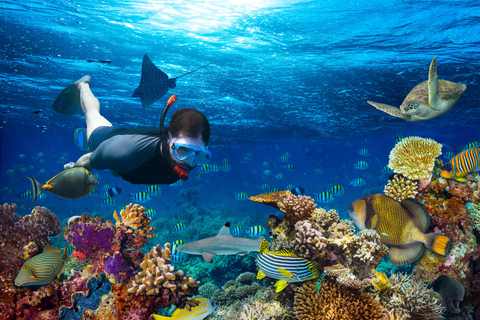 Sharm El Sheikh: Ras Mohamed Snorkelen &amp; Magisch Meer Tour