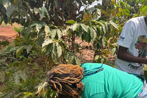 Kigali: Coffee Tour with Hotel Pickup and Tasting