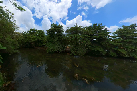 VISITE D&#039;UNE JOURNÉE DE LA CÔTE NORD DES CARAÏBES ET DE LA FORÊT TROPICALE