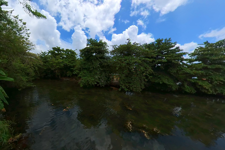 VISITE D&#039;UNE JOURNÉE DE LA CÔTE NORD DES CARAÏBES ET DE LA FORÊT TROPICALE