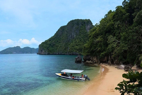 El Nido: Eilandhoppen Tour B Slangeneiland Pinagbuyutan