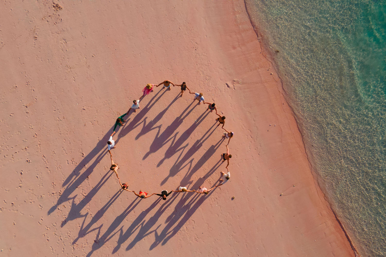 Day Trip To Komodo By Luxury Boat, Sunset & Flying Foxes