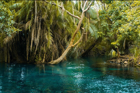 Tour delle sorgenti termali di Moshi/Arusha kikuletwa