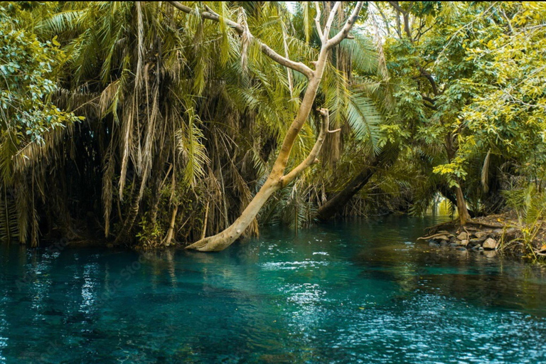 Tour delle sorgenti termali di Moshi/Arusha kikuletwa