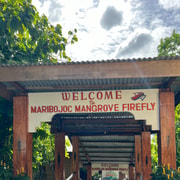 Bohol: Private Firefly Watching Boat/Kayak Tour with Guide