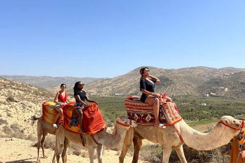 Desde Agadir: Paseo en Camello y Excursión a los Flamencos