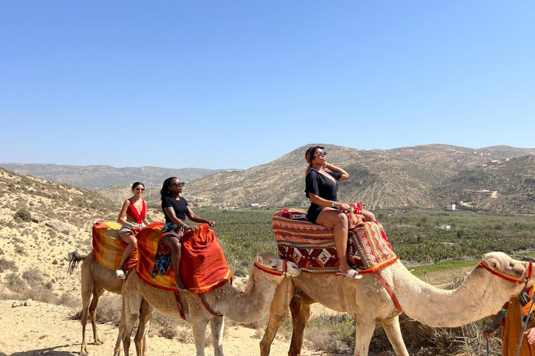 Desde Agadir: Paseo en Camello y Excursión a los Flamencos