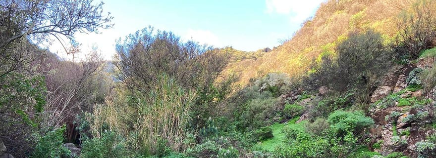Grande Canarie : excursion au Barranco de los Cernícalos