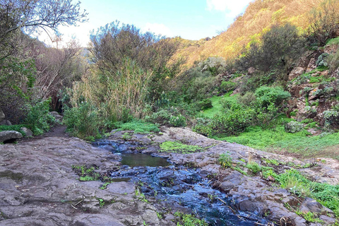Gran Canaria: excursión al Barranco de los Cernícalos