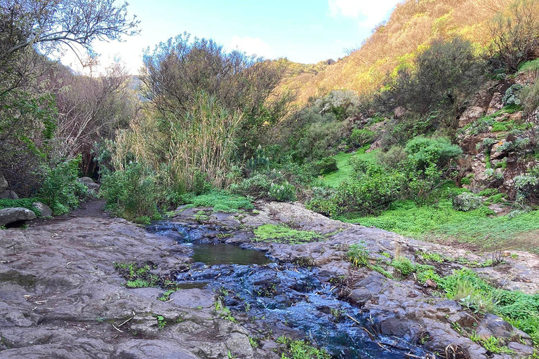 Gran Canaria: excursie naar de Barranco de los CernícalosGran Canaria: trip naar de Barranco de los Cernícalos