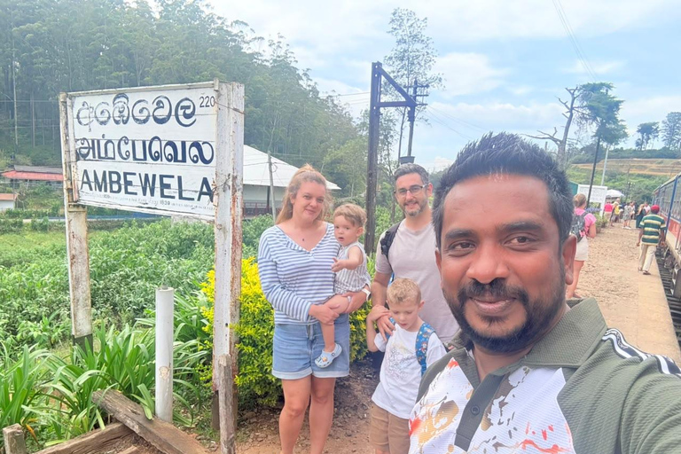 Kandy: Road-to-Rail Journey to Ella via Nuwara Eliya