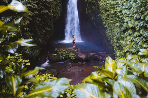 Bali: Monkey Forest Sangeh , Pura & Waterfall Private Tour Bali: Private Tour With Ticket ( Included Ticket )