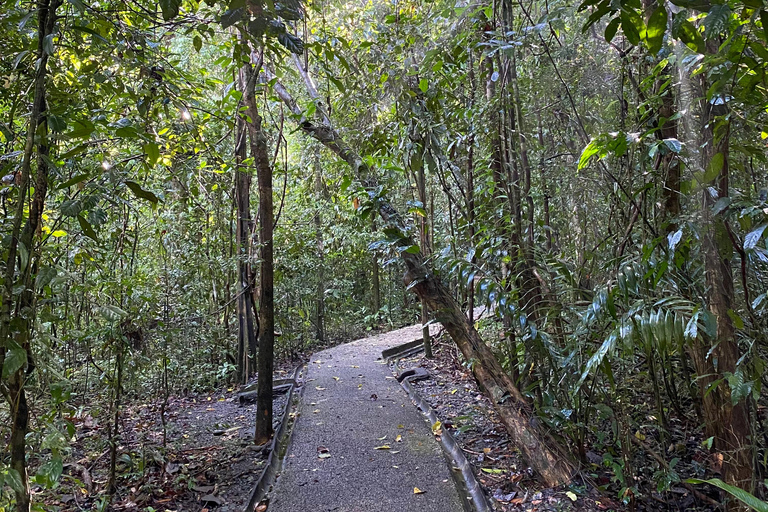 Parc Manuel Antonio : Visite guidée à pied avec un naturalisteVisite privée