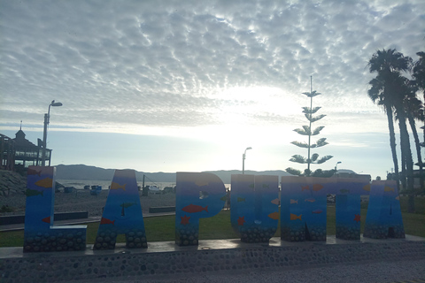 Lima: Food tour with a visit to a local market and tastings.