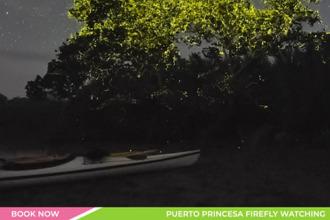 Puerto Princesa Firefly River Cruise at Dusk