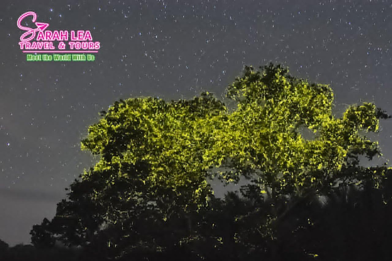Puerto Princesa Firefly River Cruise at Dusk