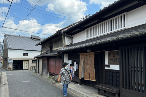 Nara: tour guidato a piedi con il Grande Buddha e i cervi(5h)