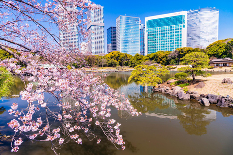 Tóquio : Excursão guiada a pé pelo jardim japonês em Hama RikyuExcursão a pé guiada nos Jardins de Hama Rikyu