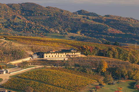 Valpantena: La Collina dei Ciliegi Wine Tasting Experience Collezione Terrena ENG