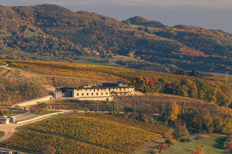 Valpantena: La Collina dei Ciliegi Wine Tasting Experience Collezione Terrena ENG