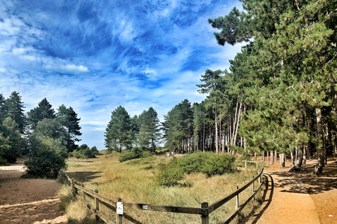 From Cambridge: Guided day trip to the North Norfolk Coast