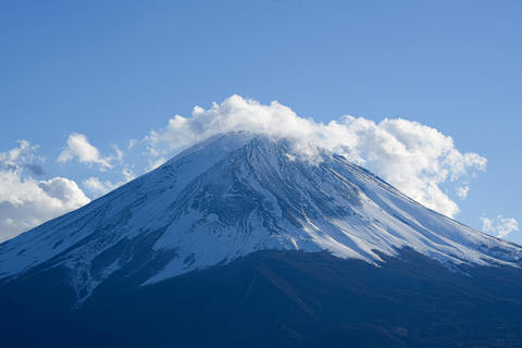 From Tokyo: Mount Fuji Full-Day Customizable & Private Tour Luxury MiniVan (1 upto 6)