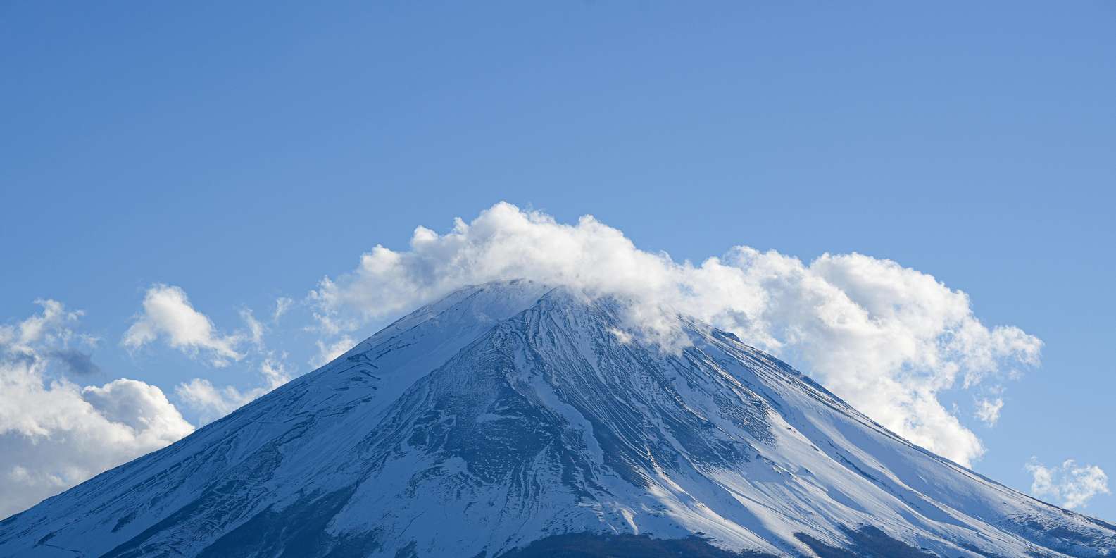 Tokyo: Mt. Fuji Customizable & Private Tour with chauffeur — gallery image 16