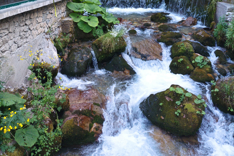 Skopje : Tetovo, Mavrovo, Galicnik et John Bigorski - Excursion d'une journéeSkopje : excursion d'une journée à Tetovo, Mavrovo, Galicnik et John Bigorski