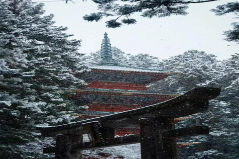 From Tokyo: Nikko World Heritage & Quarry Ruins Day Trip Private Chartered Car (Tickets included)