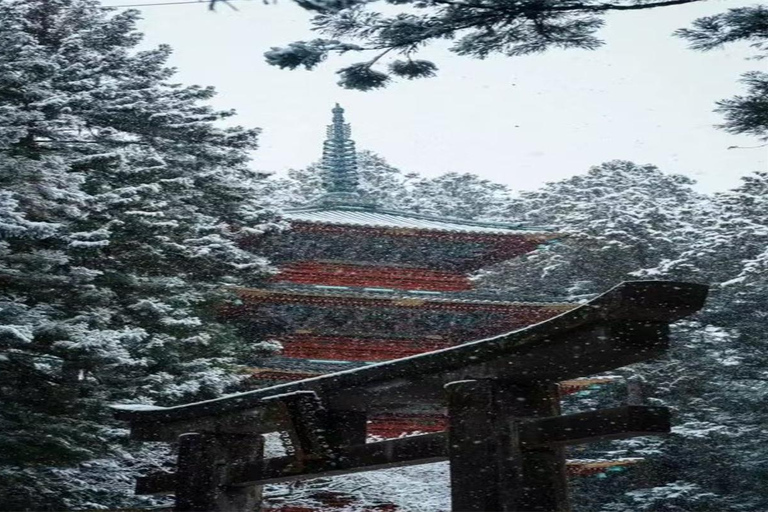 From Tokyo: Nikko World Heritage & Quarry Ruins Day Trip Private Chartered Car (Tickets included)