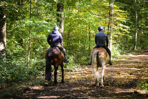 Izmir: Guided Horseback Ride Through Forest Paths 1.5-Hours Guided Horseback Ride Through Forest Paths
