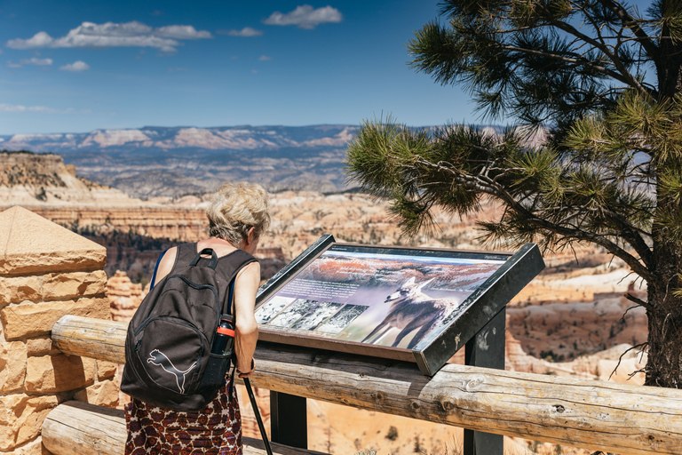 Las Vegas: Bryce and Zion National Parks Tour with Lunch