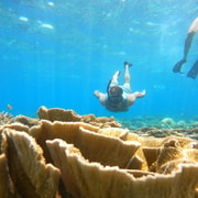 Lombok: Private 3 Gili Islands Snorkeling Pickup Senggigi