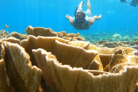 3 Gilis Snorkeling Tour Start Gili Air